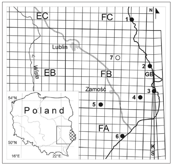 The occurrence of Xylomoia strix Mikkola, 1980 in Poland: _ - localities found during this study (1 - Orchówek, 2 - De˛bowiec, 3 - S´ lipcze, 4 - Malice, 5 - Zwierzyniec Bialy Slup, 6 - Radruz. ); _ - historical locality, not confirmed during this study (7 - Zawadówka).