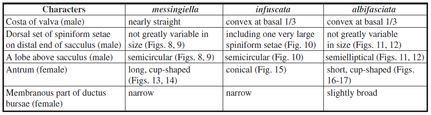 A summary of the genital character differences between Eidophasia messingiella, E. infuscata, and E. albifasciata. 