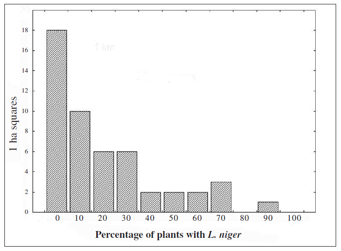 Numbers of surveyed squares according to the percentage of H. halimifolium plants with ants nests at it base.