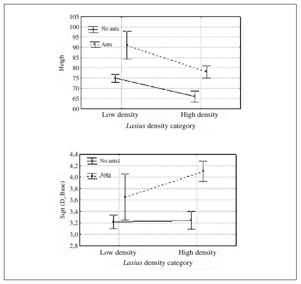 Mean height and mean basal diameter (square root transformed) (mean ± SD) of the plants with and without L. niger in the two ant density categories.
