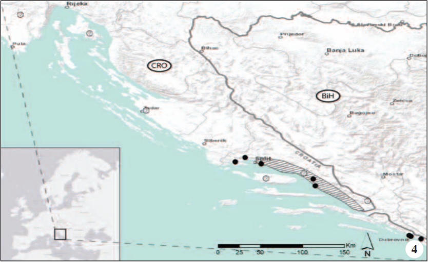 Distribution of Papilio alexanor Esp. in Croatia. Lined area represents the extent of currently confirmed distribution, while black dots denote historical observations. White dots with a question mark show questionable or imprecise records.