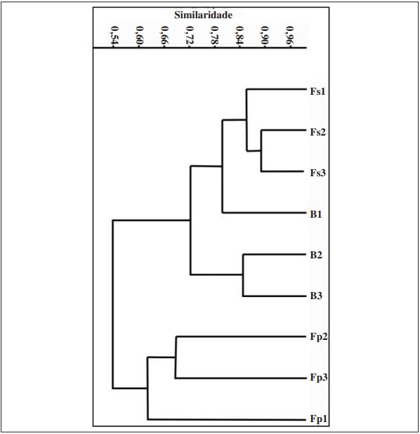 – Dendrograma de similaridade das áreas estudadas na Estação Ecológicas Estadual de Wenceslau Guimarães, com base na abundância das espécies (Coeficiente de Morisita). Borda (B); Floresta primária (Fp), Floresta secundária (Fs).