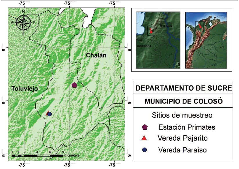 Mapa de ubicación del área de estudio: estación Primates, vereda Pajarito, vereda Paraíso en el municipio de Colosó.