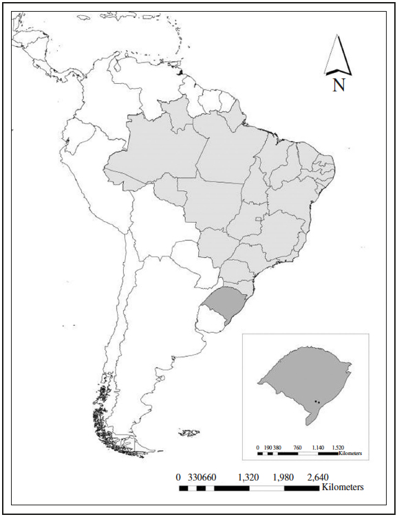Localização aproximada dos municípios do Capão do Leão e Morro Redondo, onde foram coletadas borboletas para a Floresta Estacional Semidecidual e os Campos do Bioma Pampa no Extremo Sul do Brasil, entre outubro de 2012 a junho de 2013.