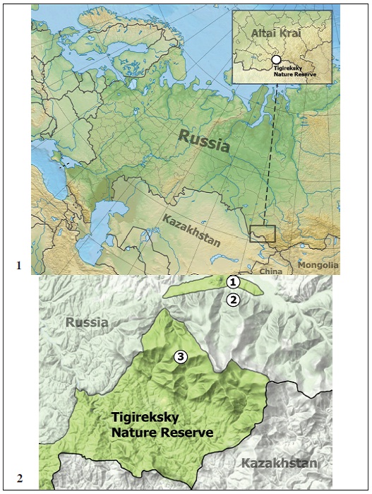 1. Location of Tigireksky Nature Reserve. 2. Map of Tigireksky Nature Reserve with collectinglocalities.