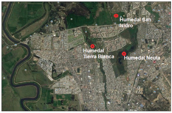 Localización Humedales Tierra Blanca, Neuta y San Isidro. Imagen tomada de Google Earth (2017).